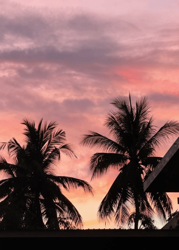 Tropical sunset wellness travel